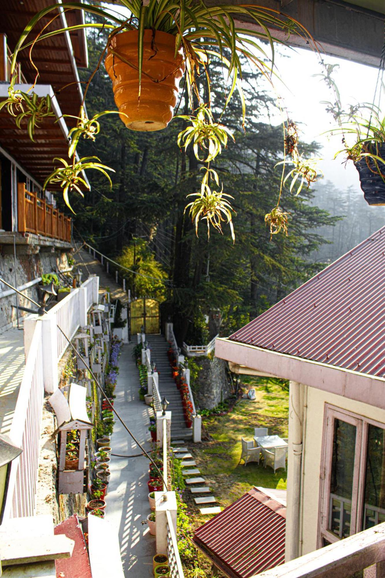 Вилла Whispering Pines Шимла Экстерьер фото